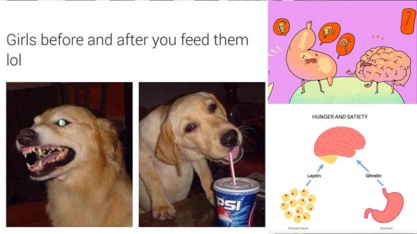 Өлсөхөөр уур хүрдэг нь ийм учиртай